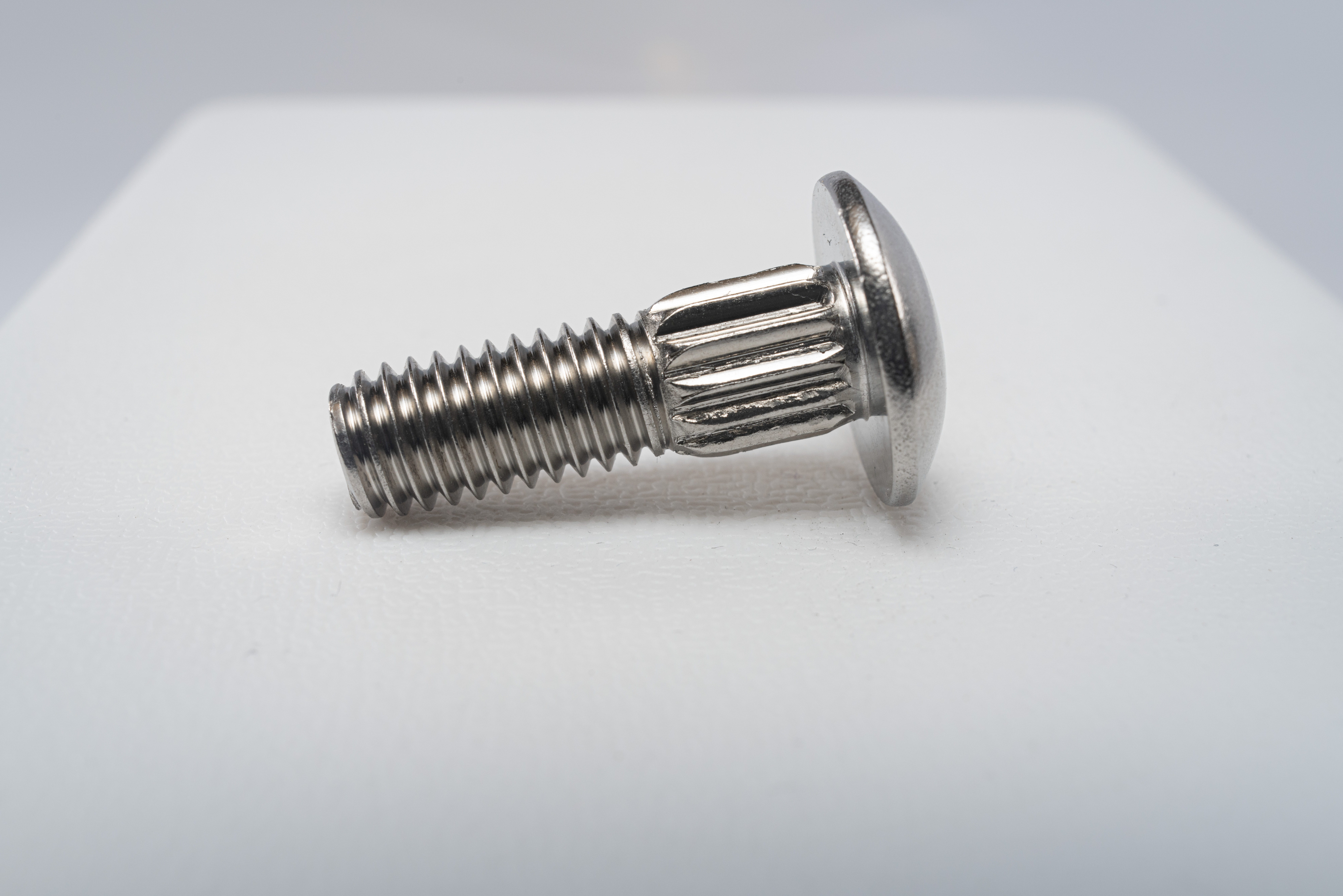 Stainless Rib Neck Carriage Bolt