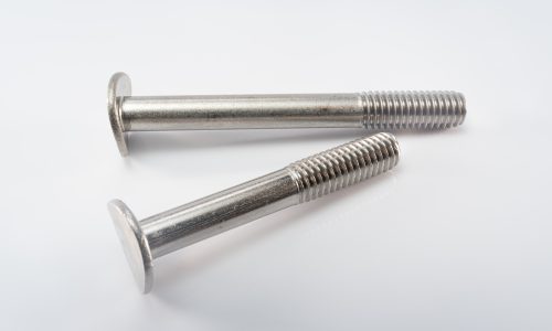 Stainless Cradle Head Bolt